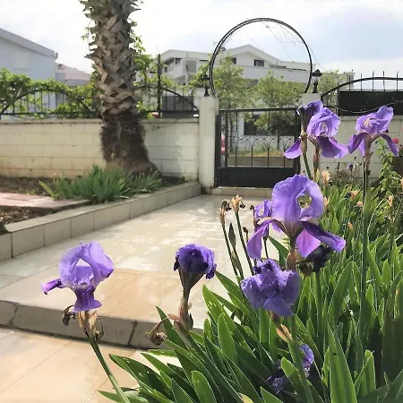 Apartamento Wonderful Ground Floor Private Home In Central Location Ticks Every Box